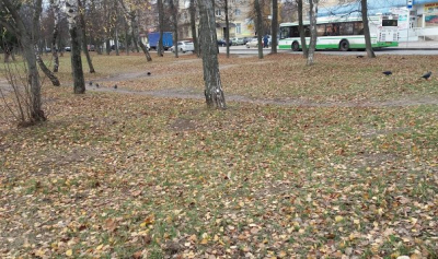 Жара до +32 и ветер до 28 м/с: что ждёт Казахстан 16 сентября