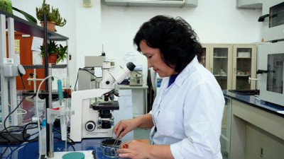 Ученые разработали эффективный способ защиты семян