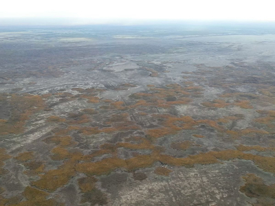 Пожар в природном резервате «Акжайык» спустя 10 дней потушили