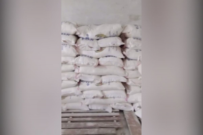 Фитосанитарный досмотр муки из России: что выявили специалисты в Курмангазинском районе