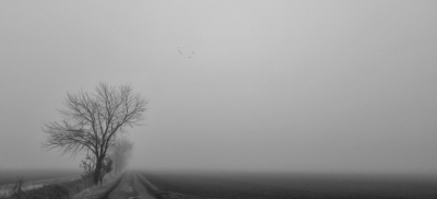 До -23 градусов обещают синоптики на части территории Казахстана в ближайшие дни