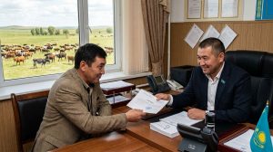 За “липовую” справку на тендере наказали сельского акима в Акмолинской области