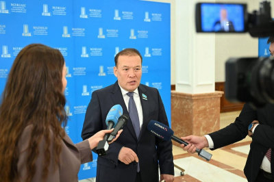 "Глава государства задал цифровой тон Послания" - депутат Мажилиса
