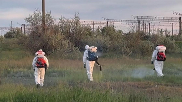 "Держим барьер": Экибастуз защищают от гнуса с помощью нового препарата (видео)
