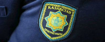 Падение деревьев на машины: директора Eco Almaty привлекли к ответственности в Алматы