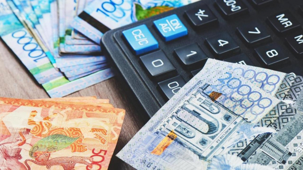 Специальная соцвыплата: 8,5 тысяч человек получили помощь